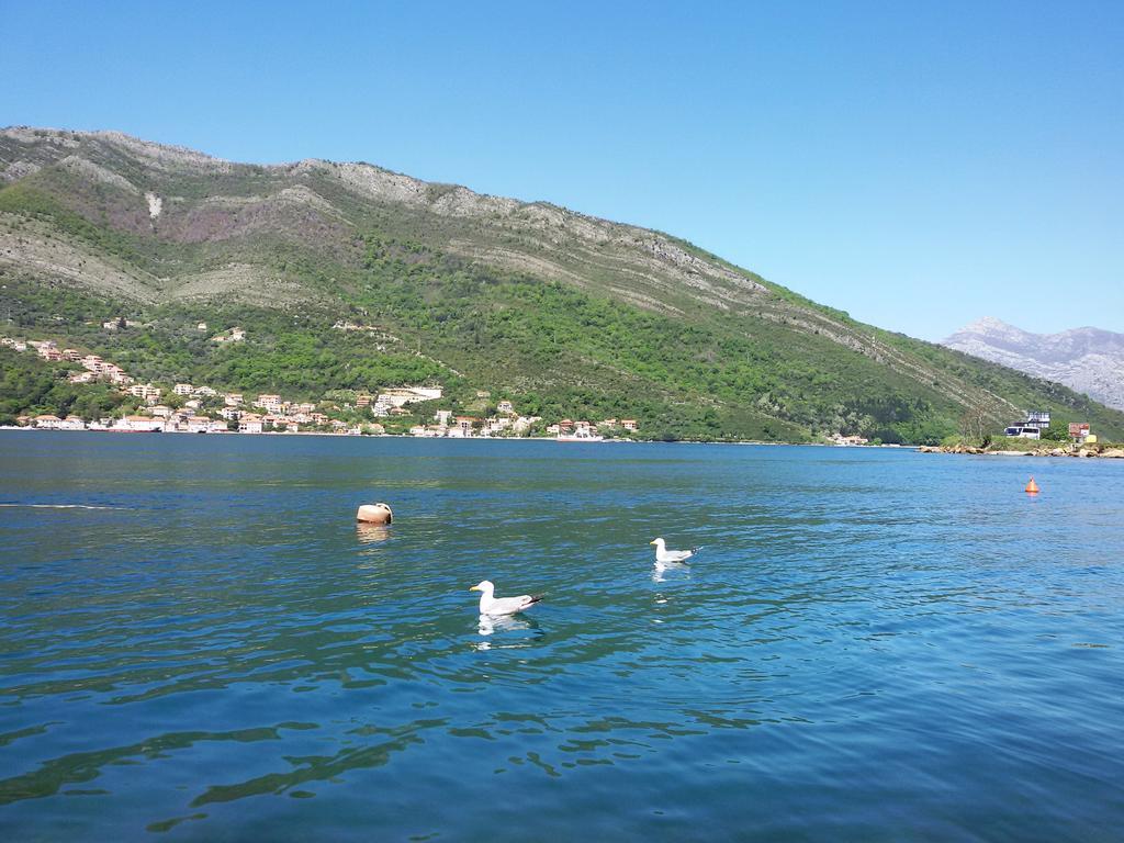 Apartmani Ivana Tivat Bagian luar foto